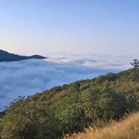 اجاره-باغ-ویلا