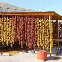 کشمش اشغاردرجه یک|خوردنی و آشامیدنی|شیروان (خراسان), |دیوار