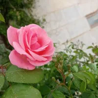 سیمکارت همراه اول کد1 و3 دائمی
