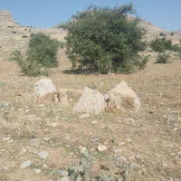 فروش زمین ۲۰۰۰ متری شهرک عمارت دهنو  باشرایط اقساط|فروش زمین و ملک کلنگی|رستم, |دیوار