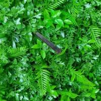 پخش چمن مصنوعی|مصالح و تجهیزات ساختمان|هشتگرد, تهران دشت|دیوار