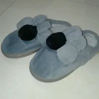 پاپوش پشمی