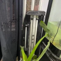 اکواریوم شیشه خم|ماهی|اصفهان, دنارت|دیوار