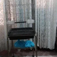 قفس کاسکویی و طوطی همراه پایه