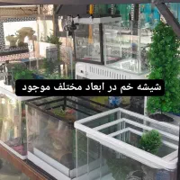 آکواریوم ستاره ماهی لوازم و خدمات کامل|ماهی|تهران, مهرآباد جنوبی|دیوار