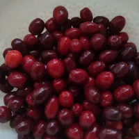 رب زغال اخته