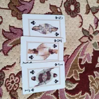 پاسور کوروش|کلکسیون و سرگرمی|تبریز, |دیوار