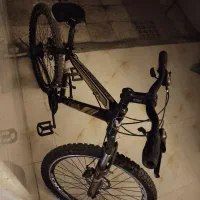دوچرخه ویوا اصل