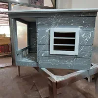 خانه برای سگ و گربه