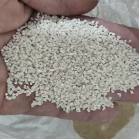 سلام نیم دانه موجود است  تخفیف یکمی هم داری