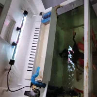 آکواریوم k580 دلسا و فیلتر سطلی uv|ماهی|تهران, وردآورد|دیوار