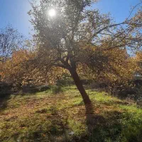 خانه روستای دربخش نختالو روستای حیدرباغی|فروش خانه و ویلا|نختالو, |دیوار
