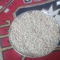 گاودانه|عمده‌فروشی|هشترود, |دیوار