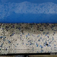 اکواریوم|ماهی|رشت, دخانیات|دیوار