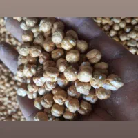 نخودچی گل|خوردنی و آشامیدنی|ممقان, |دیوار