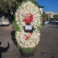 همه مشتری حرگون گلی یا تاج گل سبد درختمت هستیم