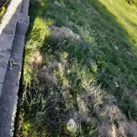 فروش زمین مسکونی سپیدان ویلا یی|فروش زمین و ملک کلنگی|سپیدان, |دیوار