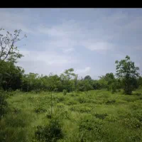 زمین باغی داخل بافت با کاربری مسکونی