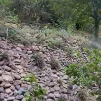 باغ-سولقان-کشار-سفلی