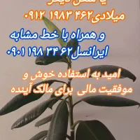۹۱۲ کد یک همراه با خط مشابه ایرانسل