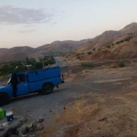 کودحیوانی بالای یک سال