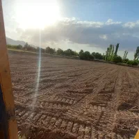 اجاره بلدوزر ملایر.نهاوند. همدان|خدمات باغبانی و درختکاری|ملایر, |دیوار