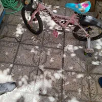 دوچرخه۱۶|دوچرخه، اسکیت، اسکوتر|شیراز, قلعه شاهزاده بیگم|دیوار