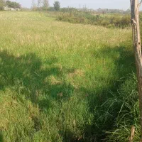 زمین خوش‌قواره مسکونی، مناسب سرمایه‌گذاری