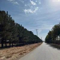 ۳۳۱ متر زمین سند تکبرگ انشعابات کامل جابان دماوند