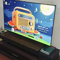 تلویزیون ۵۵اینچ اسنوا (فروش فوری)