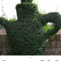 علف تراشی هرس شخم قطع درخت باغچه کاری و سایر خدمات|خدمات باغبانی و درختکاری|عباس‌آباد, |دیوار