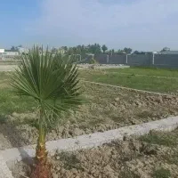 ۲۰۸ متر اقساط با سندتکبرگ منطقه ساحلی