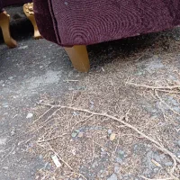 مبل یا راحتی|مبلمان خانگی و میز عسلی|کرج, کوی مدرس|دیوار