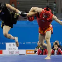 آموزش هنررزمی ووشو ساندا ومبارزات آزاد