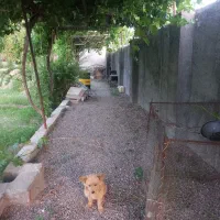 خانه باغ بهرامجرد