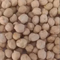 نخودسفیدوقرمز