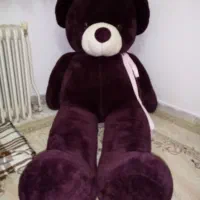 خرس پولیشی خیلی بزرگ