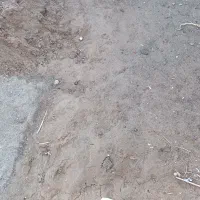 فروش-دو-قطعه-زمین