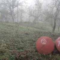 زمین فروشی در تالش، خطبهسرا (شوکیز مشایخ)|فروش زمین و ملک کلنگی|لیسار, |دیوار