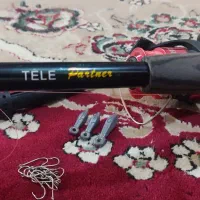 لنسر ماهیگیری|ماهیگیری|دوگنبدان, |دیوار