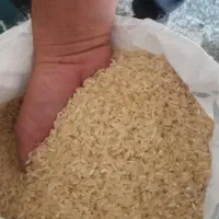 برنج کامفیروزی