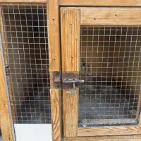 گنجه کفتری|لوازم جانبی حیوانات|شیراز, شیخ علی چوپان|دیوار