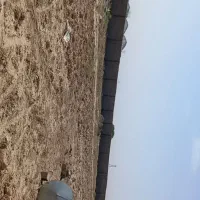 زمین فروشی میامی