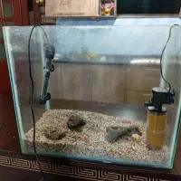 اکواریوم کامل