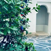 دربند ۱۳۳ متری|فروش آپارتمان|تهران, دربند|دیوار