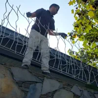 فروش و نصب تخصصی حفاظ شاخگوزنی