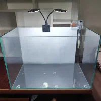 اکواریوم ریملس apa|ماهی|سنقر, |دیوار