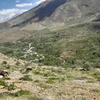 تلوزیون پارس رنگی با کنترل