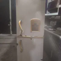 ساعت ویخچال|ساعت دیواری و تزئینی|بندرعباس, |دیوار