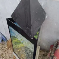 آکواریوم ۳ضلعی سالم